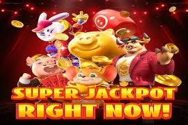 play1x ক্রিকেট ও ফুটবল স্পোর্টস হাব বিভাগের দৃশ্য